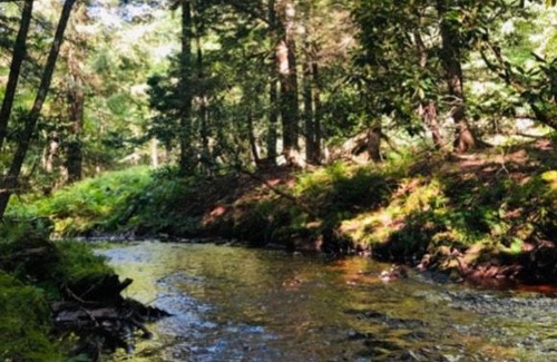 Kauneonga Lake Otro | Tentrr Signature Site-Say Hello 2 Heaven at Tentrr Catskill Retreat-Single Camp