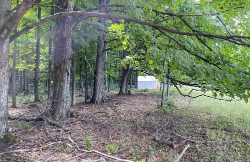 Honor Alquiler De RV | Tentrr Signature Site - Sleeping Bear Dunes - Sleepy Bear Den