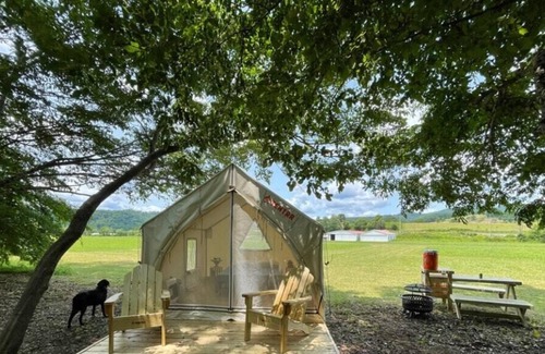 Pence Springs Alquiler De RV | Tentrr Signature Site - Stearman