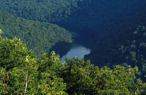 Gans Alquiler De RV | Tentrr State Park Site - WV Coopers Rock State Park - Site H - Single Camp