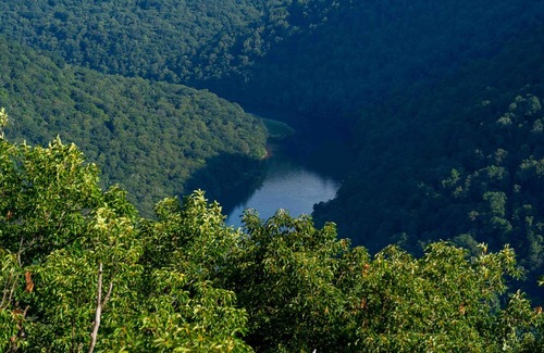 Gans Alquiler De RV | Tentrr State Park Site - WV Coopers Rock State Park - Site I - Single Camp