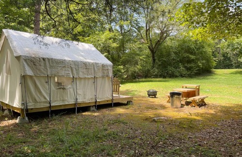 Holly Springs Otro | Tentrr State Park Site - Mississippi Wall Doxey State Park - Fresh Field D - Single Camp