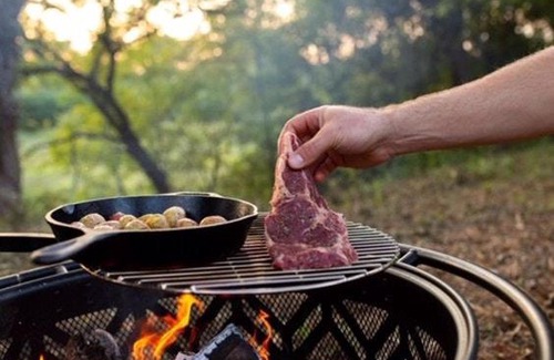 Holly Springs Otro | Tentrr State Park Site - Mississippi Wall Doxey State Park - Woodland G - Single Camp