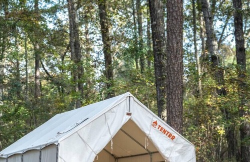 Morton Alquiler De RV | Tentrr State Park Site - Mississippi Roosevelt State Park - Tall Trees A - Sing