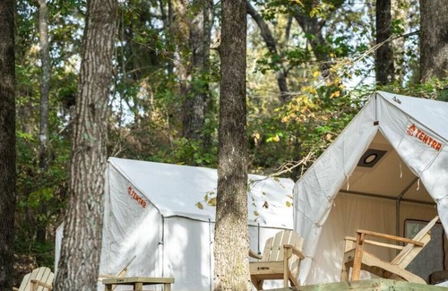 Morton Alquiler De RV | Tentrr State Park Site - Mississippi Roosevelt State Park - Tall Trees H - Singl