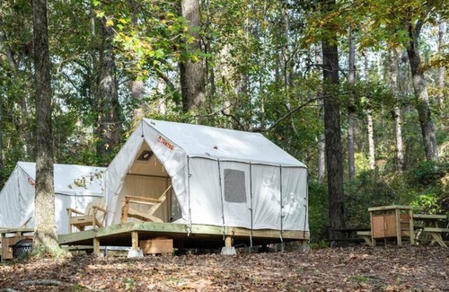 Morton Alquiler De RV | Tentrr State Park Site - Mississippi Roosevelt State Park - Tall Trees H - Singl