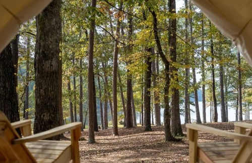 Morton Alquiler De RV | Tentrr State Park Site - Mississippi Roosevelt State Park - Tall Trees H - Singl
