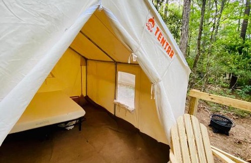 Talisheek Otro | Tentrr State Park Site - Louisiana Bogue Chitto State Park - Bonner Creek M - Single Camp