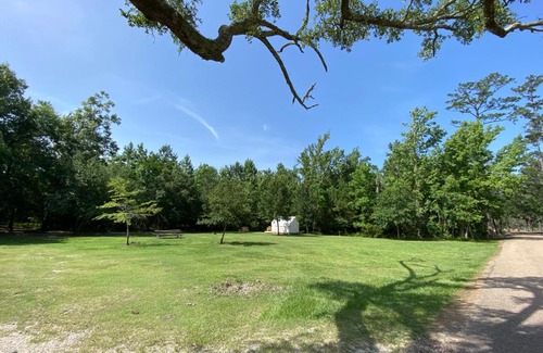 Mandeville Otro | Tentrr State Park Site - Louisiana Fontainebleau State Park - Woodland L - Single Site
