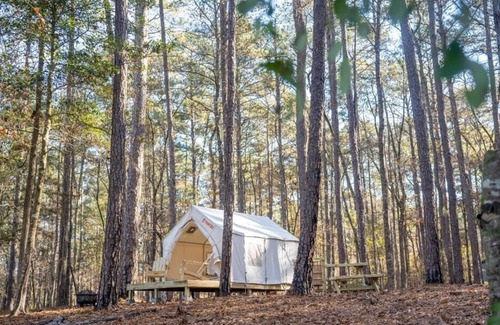 Quitman Alquiler De RV | Tentrr State Park Site - Mississippi Clarkco State Park - Lakeview C - Single Ca