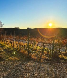 San Damiano dʼAsti Casa | Tenuta Agricola La Cava- Cantina e Agriturismo