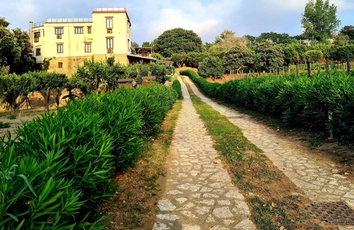 Licola Hotel | Tenuta Convivium Cuma