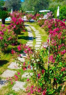 Salisano Casa | Tenuta del Casale del Jazz - Jazz Emotional Experience - Rooms & Camping in the Countryside