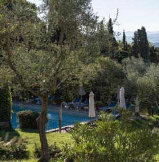 Sassetta Casa | Tenuta La Bandita