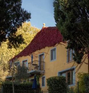 Sassetta Casa | Tenuta La Bandita
