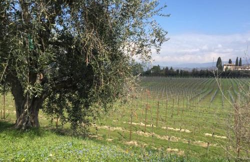 Calmasino Apartamento | Tenuta La Cà