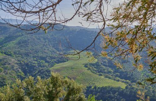 Pollina Casa | Tenuta Luogo Marchese