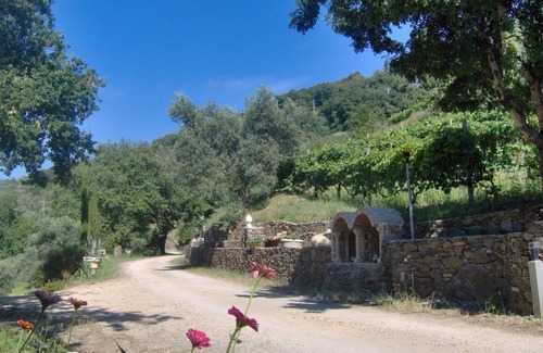 Nocera Terinese Casa | Tenuta Mauri - Agriturismo Vota