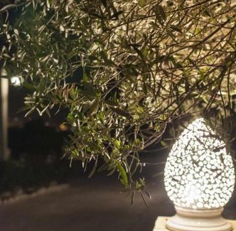 Noto Casa | Tenuta Olive Alive
