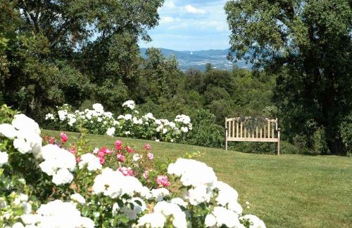 Sassetta Casa | Tenuta Seripa