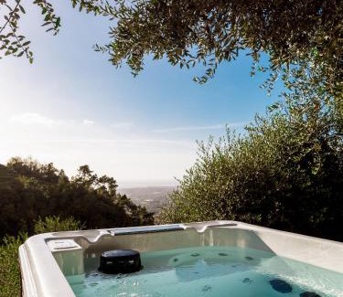 Montignoso Complejo | Tenuta Zamparina