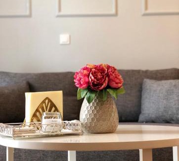 Sighisoara Apartamento | Teo's Flat
