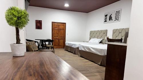 Ahuachapan Apartamento | Termales la Montaña “Suite Aire de Montaña 1”