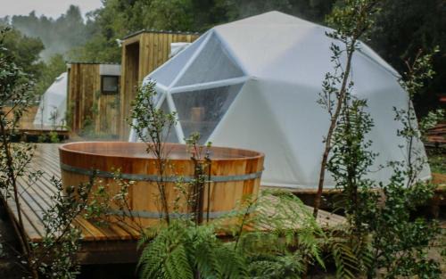 Puyehue Cabina | Termas de Aguas Calientes
