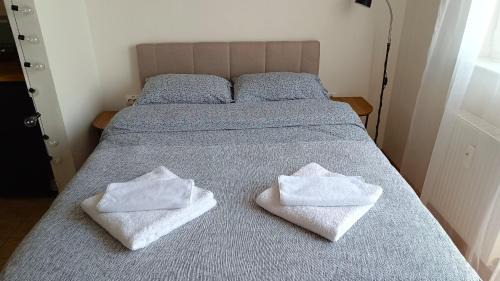 Subotica Apartamento | Terminal