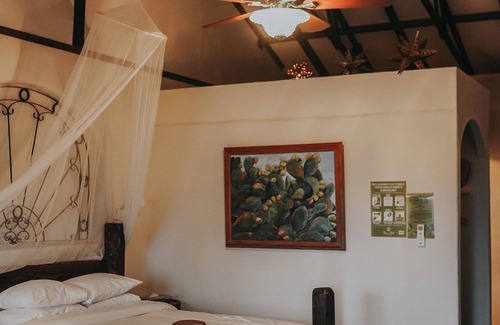 Valle de Guadalupe Cama Y Desayuno | TERRA DEL VALLE BED & BREAKFAST