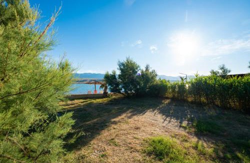Kolan Otro | Terra Park SpiritoS Pitches