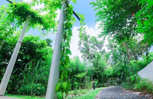 Welipitiya Complejo | Terrace Garden Ayurveda Resort