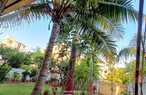 Vadodara Casa | Terrace Garden Bedroom First Floor 5 Minutes from Hotel Hayatt Place