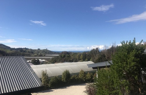 Riwaka Cabaña | Terraced Chalets