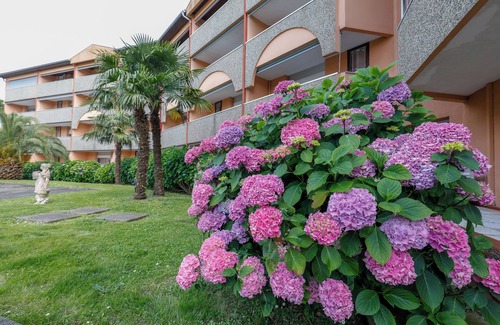 Dax Apartamento | TERRASSES DE BORDA