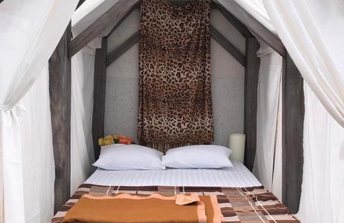 Chiang Rai Province Cama Y Desayuno | Terre Terrace Glamping - Doichang