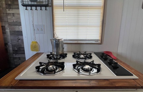 Belfry Cabina | Terrific 1-bedroom cabin in Belfry with Mountain View