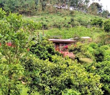 Filandia Casa | Tesorito House en las Montañas del Quindío