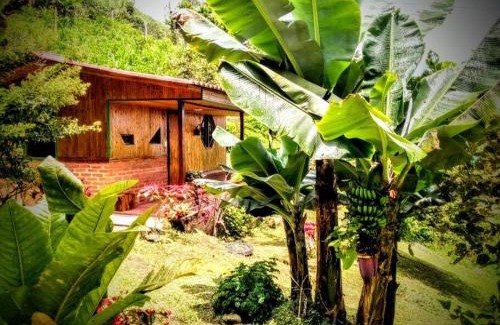 Filandia Casa | Tesorito House en las Montañas del Quindío
