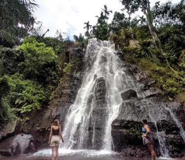 Tetebatu Casa | Tetebatu Mountain View Homestay