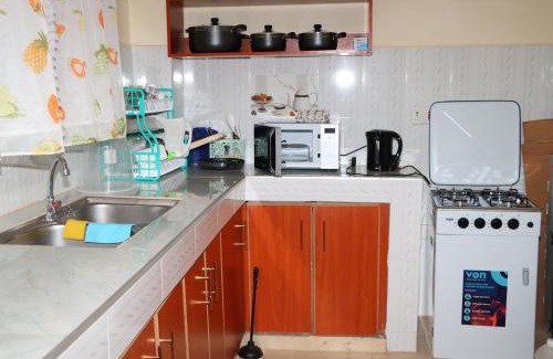 Meru Apartamento | Texas Homes Meru Kinoru