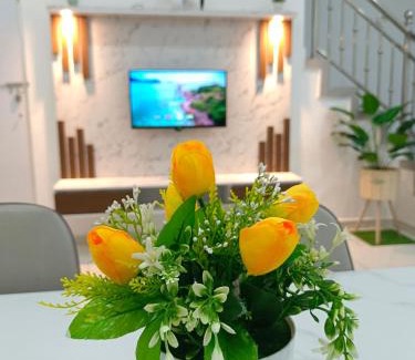 Kuala Terengganu Casa | TGG Homestay with Netflix
