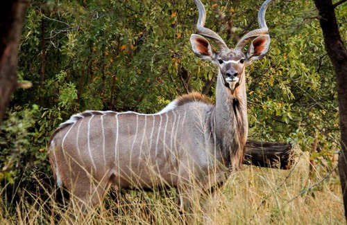 Maanhaarrand Apartamento | Thaba Manzi Ranch