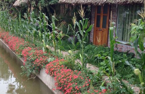 Hung Ha Casa | Thai Binh Garden