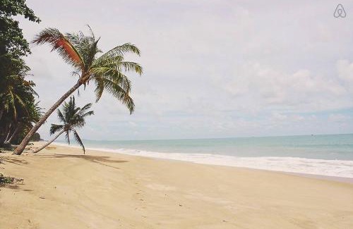 Thai Mueang Hotel | Thai Muang Resort