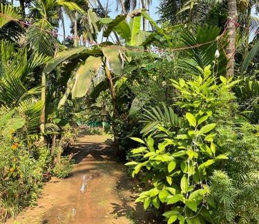 Alibaug Casa | Thakur holiday homes