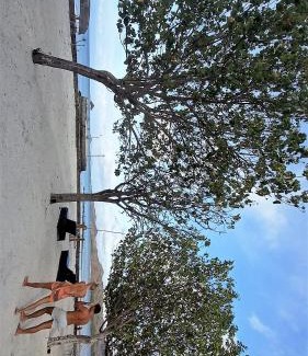 Gili Gede Complejo | Thamarind Resort Gili Gede