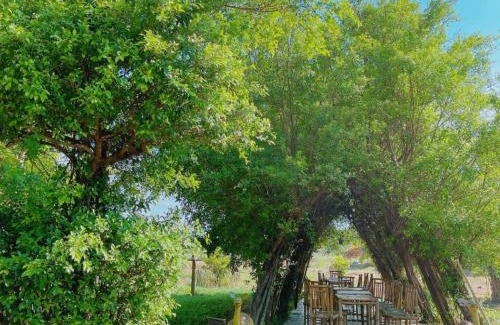 Dien Ban Casa | Thanh Chiêm Village - Khu Du Lịch Sinh Thái - Làng Nghề Thanh Chiêm