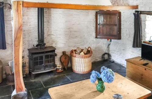 Llanybydder Casa | Thatched Cottage - Uk50261