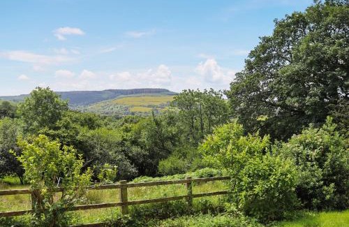 Llanybydder Casa | Thatched Cottage - Uk50261